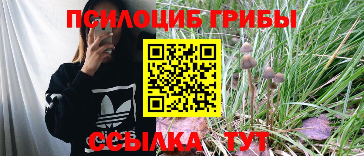 Нарткала  Галлюциногенные грибы Magic Shrooms  Вход с VPN 
